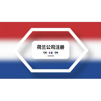 荷蘭公司審計