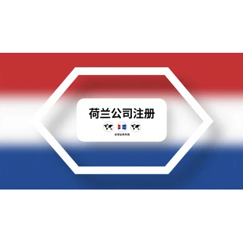 荷蘭公司審計(jì)