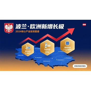 波蘭公司年審服務(wù)