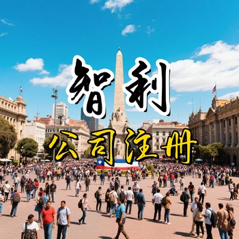 智利公司審計