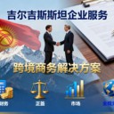 吉爾吉斯斯坦公司注銷