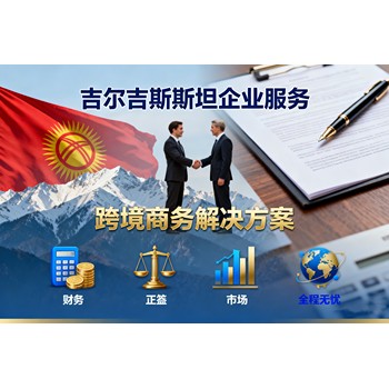 吉爾吉斯斯坦公司注銷
