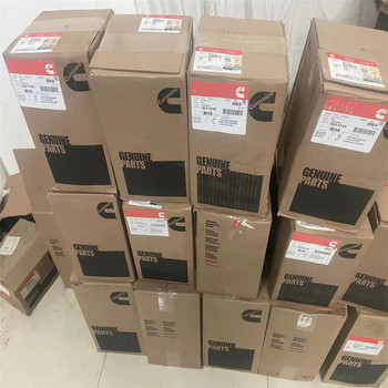 D200FRZ5機(jī)組潤滑泵3634640內(nèi)蒙古康明斯旗艦店