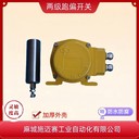 帶式跑偏開關(guān)KZM-RA57G/WSNM\220VAC