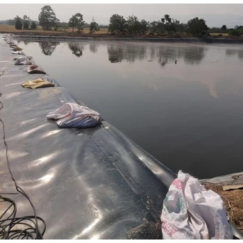 云南昆明黑膜沼氣池建設(shè)用聚乙烯土工膜廠家報價