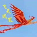 常州大型商業(yè)活動飛天鳳凰出租景區(qū)購買項目飛天鳳凰廠家出售