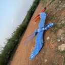 中衛(wèi)慶典活動飛天鳳凰表演出租大型飛天鳳凰制作出售廠家