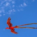 重慶網(wǎng)紅飛天鳳凰廠家大型飛天鳳凰出租租賃
