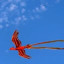 上海大型開(kāi)幕儀式飛天鳳凰表演出租戶外夜空飛天鳳凰租賃公司