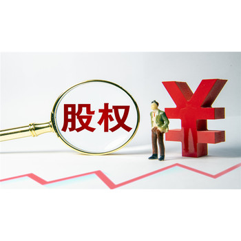 廣州公司股權轉讓評估,公司股東權益評估,公司股權價值評估