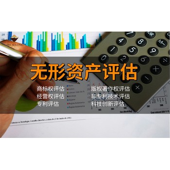 安慶無(wú)形資產(chǎn)評(píng)估,商標(biāo)評(píng)估,專(zhuān)利評(píng)估