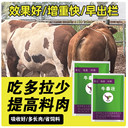 1100斤左右的牛使用牛泰壯中牛泰壯的顯著(zhù)優(yōu)勢