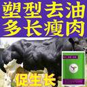 誰敢想，誰敢想，育肥牛用一個月多長20斤就是因為用了它—牛泰壯