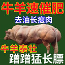 1000斤的肉牛使用牛泰壯體型變化明顯