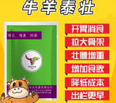 800斤左右的牛使用牛泰壯的顯著好處