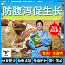 400斤小犢牛不愛(ài)吃？巧用“力能健”喚醒食欲促生長(zhǎng)