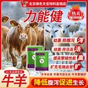 力能健牛羊飼料添加劑北京綠色天寶提高采食量預(yù)防酸中毒腹瀉