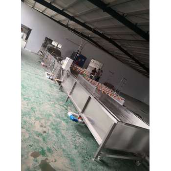 蒜苗清洗機菠菜清洗機油菜清洗機型號