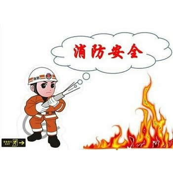 九安防火門廠_鋼質(zhì)防火門制造規(guī)格_子母九安防火門