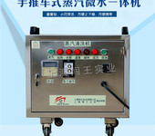 CWD3A/4A雙扶手蒸汽清洗機(jī)：多功能清潔，便捷