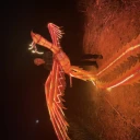 武漢制作飛天鳳凰廠家大型仿真飛天鳳凰商業(yè)活動表演出租出售