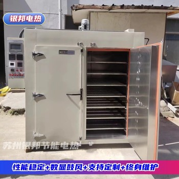 新型復(fù)合材料烘干箱300℃復(fù)合材料固化烘烤箱高溫老化試驗(yàn)烘箱