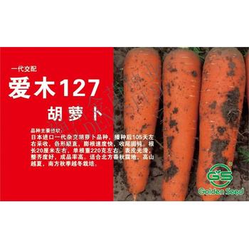 愛木127胡蘿卜種子，表皮光滑，整齊度好