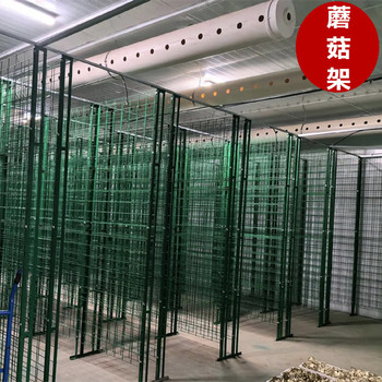 種植平菇架子菌包立體網(wǎng)格架種植食用菌架