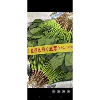 廈門(mén)生鮮蔬菜配送