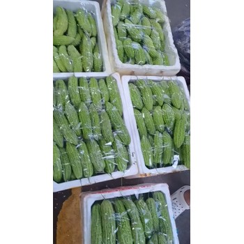 廈門(mén)生鮮蔬菜配送