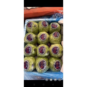 廈門(mén)生鮮蔬菜配送
