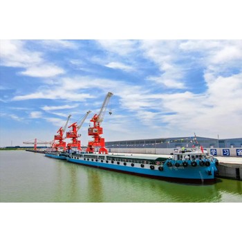 鄉(xiāng)村振興高原生態(tài)漁業(yè)魚類選育基地建設(shè)可行性研究報告