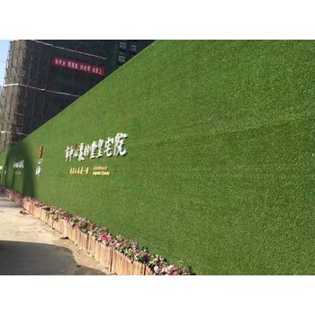 仿真草坪廠家
