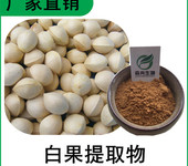 森冉生物白果提取物銀杏果提取物比例提取原料粉