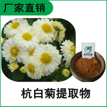 森冉生物杭白菊提取物小白菊提取物比例提取原料粉