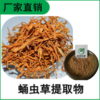 森冉生物蛹蟲草提取物蛹蟲草多糖北蛹蟲草提取物