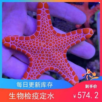 清遠(yuǎn)回收臨期菜籽油