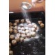 發發助手