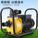 農(nóng)用灌溉水泵大流量抽水泵2寸3寸4寸高揚(yáng)程自吸離心泵污水泥漿泵