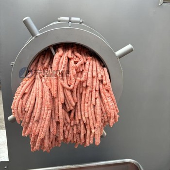 100凍肉絞肉機,小型凍肉絞肉機,不銹鋼凍肉絞肉機