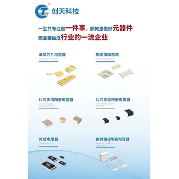 電子元器件