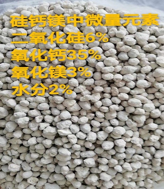 17419300-0.jpg@750w_750h_90Q