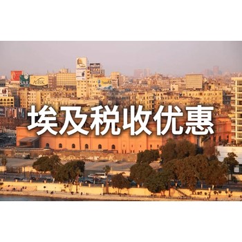 埃及公司注冊資金要求