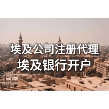 埃及公司注冊資金要求