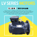 冷卻塔電動(dòng)機(jī)YE3替代Y2PF160L-15kW電機(jī)立式防水馬達(dá)