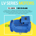 開式冷卻塔配套電機(jī)YE3-132S-4-5.5KW馬達(dá)立式戶外防腐電動機(jī)