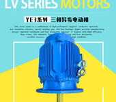 開式冷卻塔配套防水電動機HK180M-4-18.5kw馬達防水立式