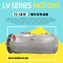 螺桿壓縮機(jī)驅(qū)動電動機(jī)YE3-280MX-2-132KW馬達(dá)立臥式