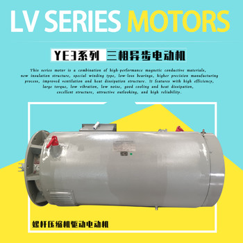 空压机配套电动机YLF315L1-4-160kWW电机电压400V法兰端盖SF1.2