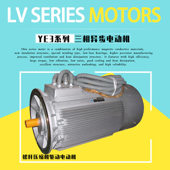 螺桿壓縮機配套電動(dòng)機Y2VP-280MX-2-110KW馬達380V電機